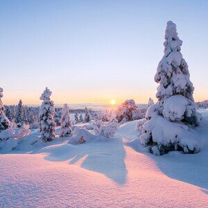 Meet your Posher, Alaska006